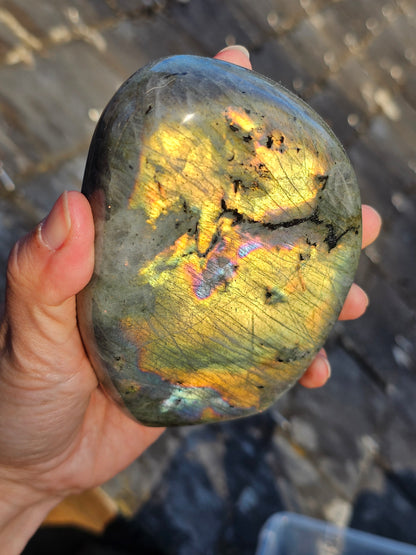 Forme libre Labradorite E