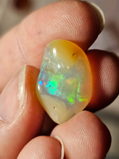 Opale noble d'Ethiopie roulée d'exception O1