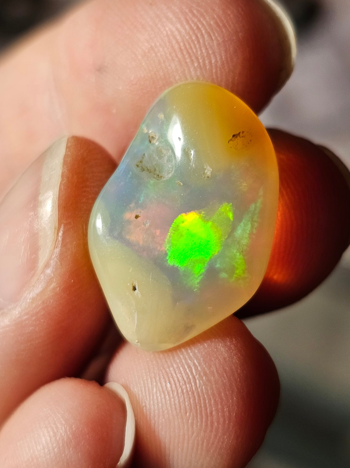 Opale noble d'Ethiopie roulée d'exception O1