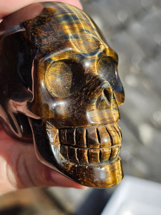 Crâne en œil de faucon et œil de tigre