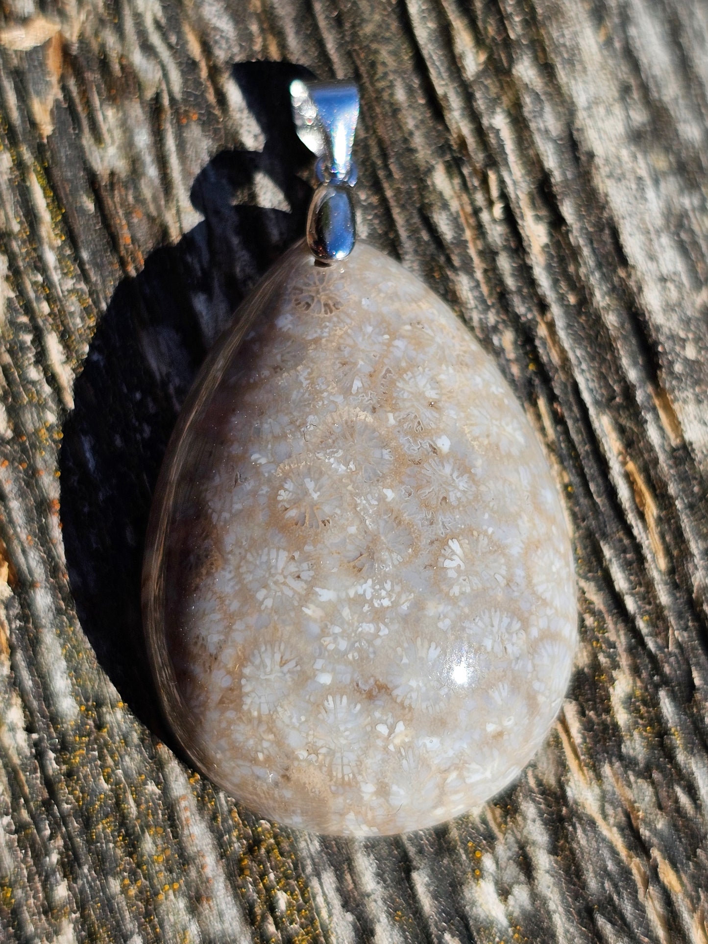 Pendentif Corail Fossile n°3