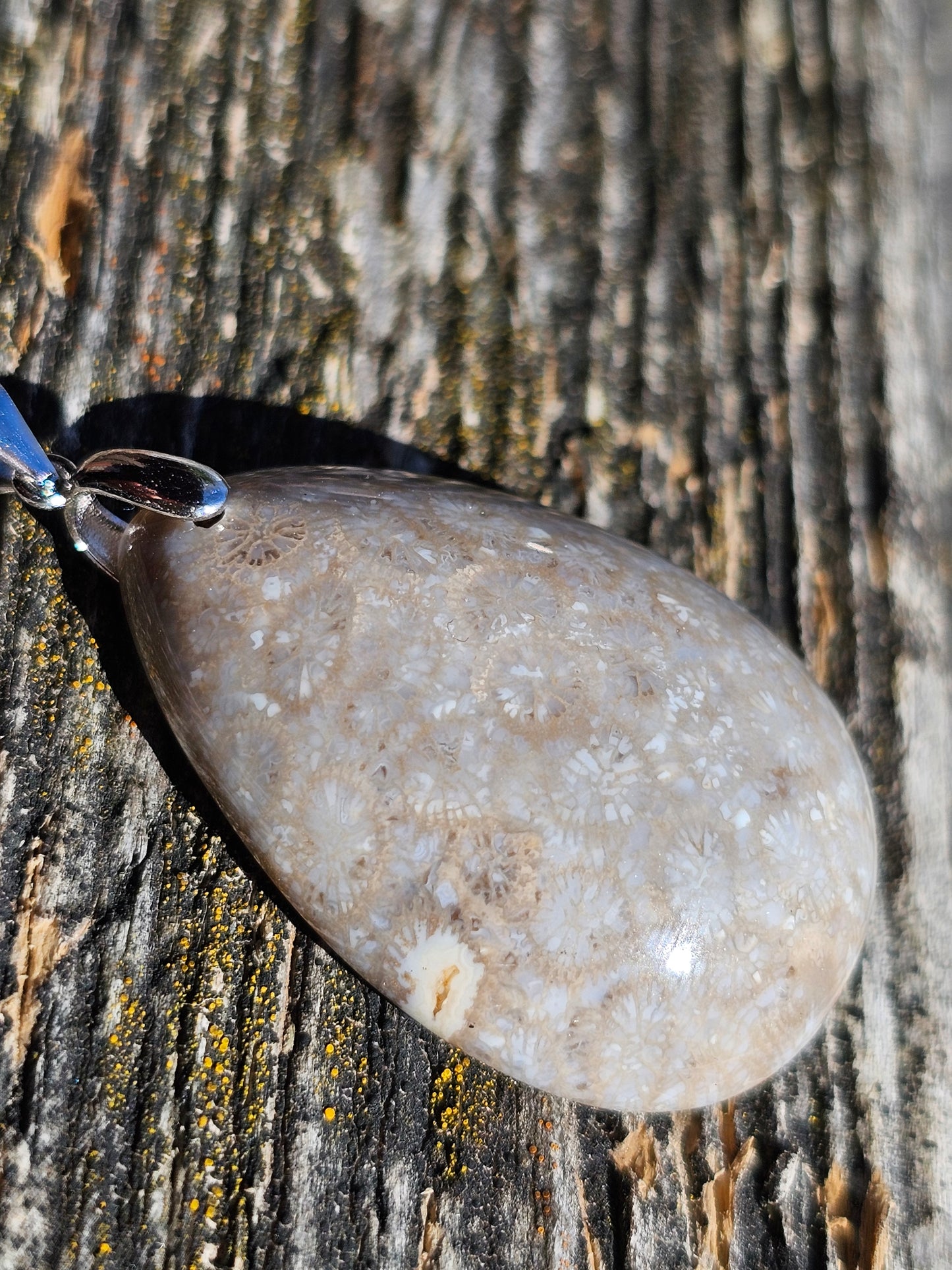 Pendentif Corail Fossile n°3