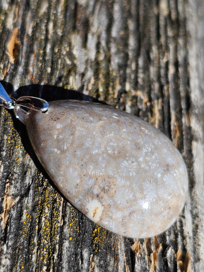 Pendentif Corail Fossile n°3