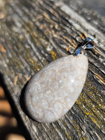 Pendentif Corail Fossile n°3