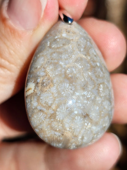 Pendentif Corail Fossile n°3