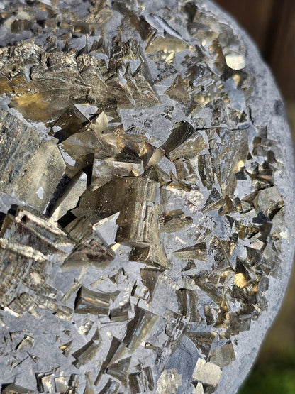 Grosse Pyrite brute française sur schiste