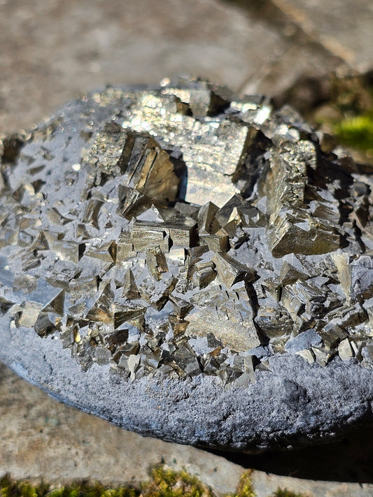 Grosse Pyrite brute française sur schiste