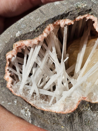 Scolécite sur Heulandite et stilbite n°14