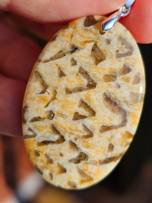 Pendentif en Zébradorite