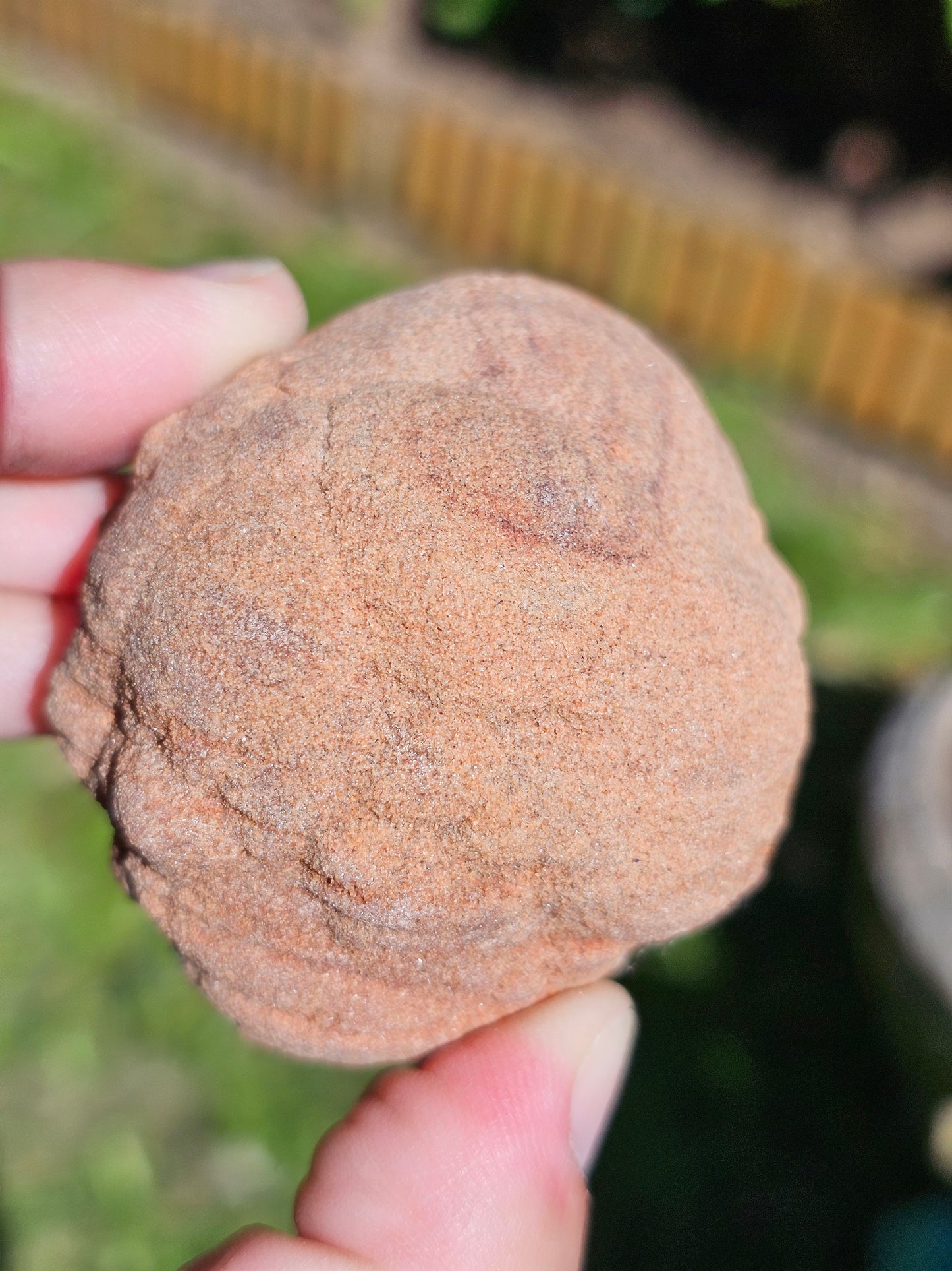 Stromatolite brute du Maroc S1