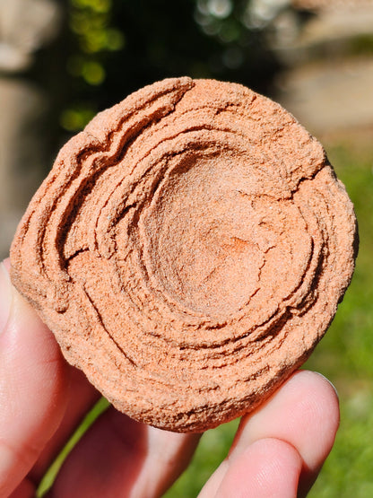 Stromatolite brute du Maroc S8