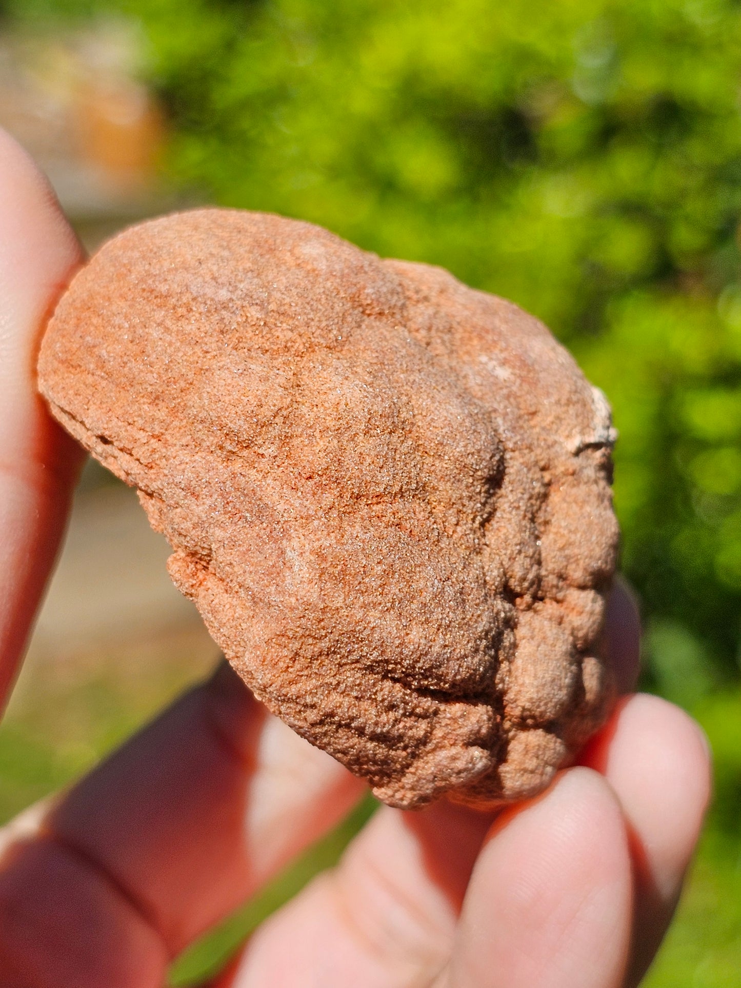 Stromatolite brute du Maroc S8