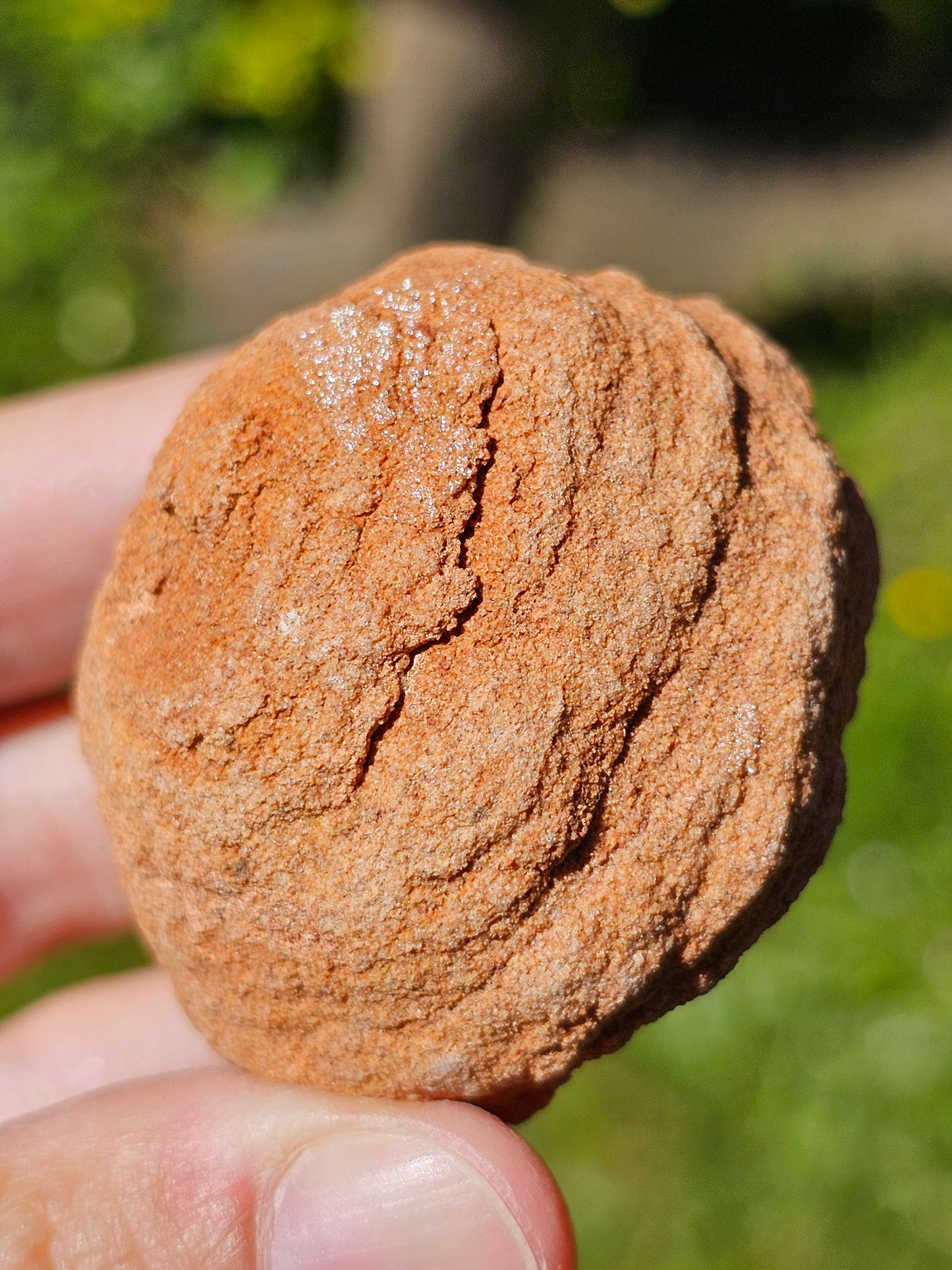 Stromatolite brute du Maroc S10