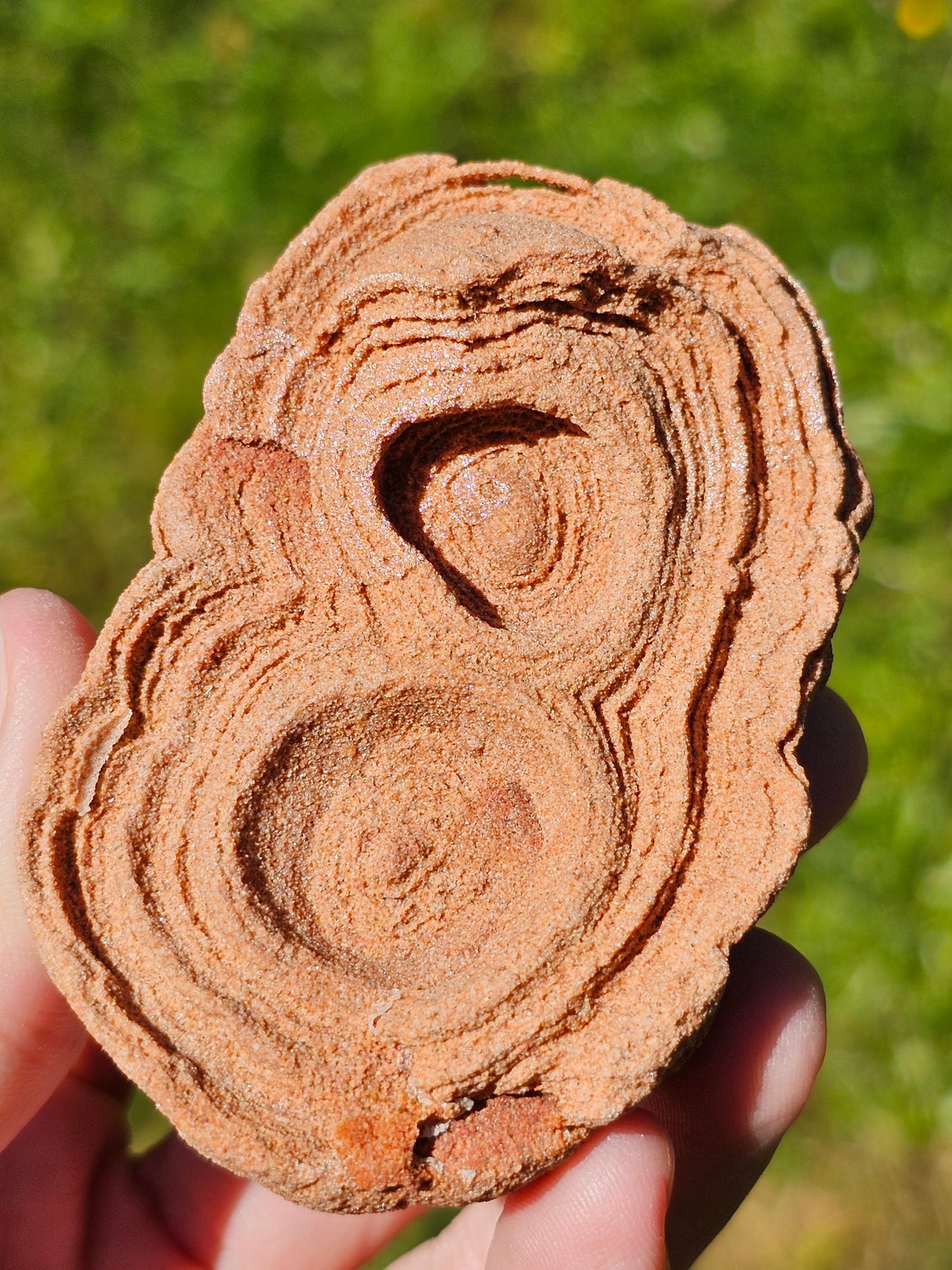 Stromatolite brute du Maroc S14