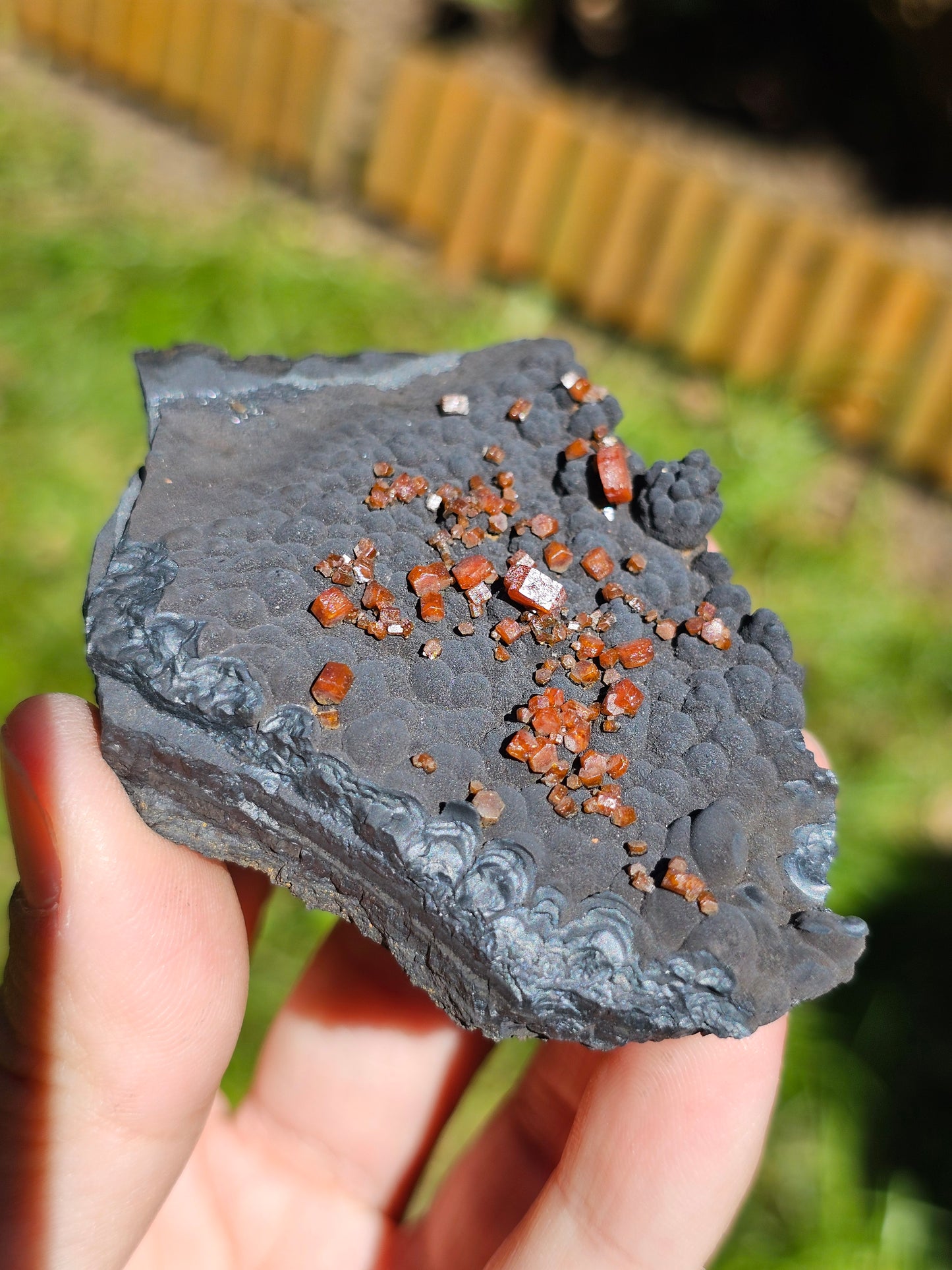 Vanadinite sur Goethite V3