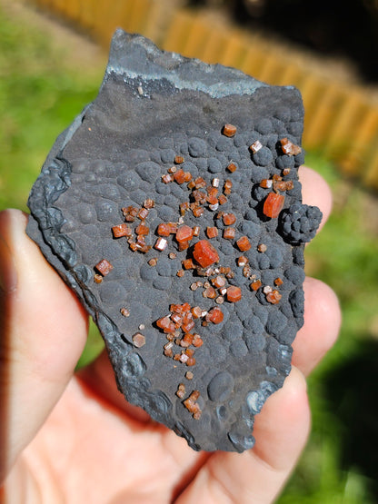 Vanadinite sur Goethite V3