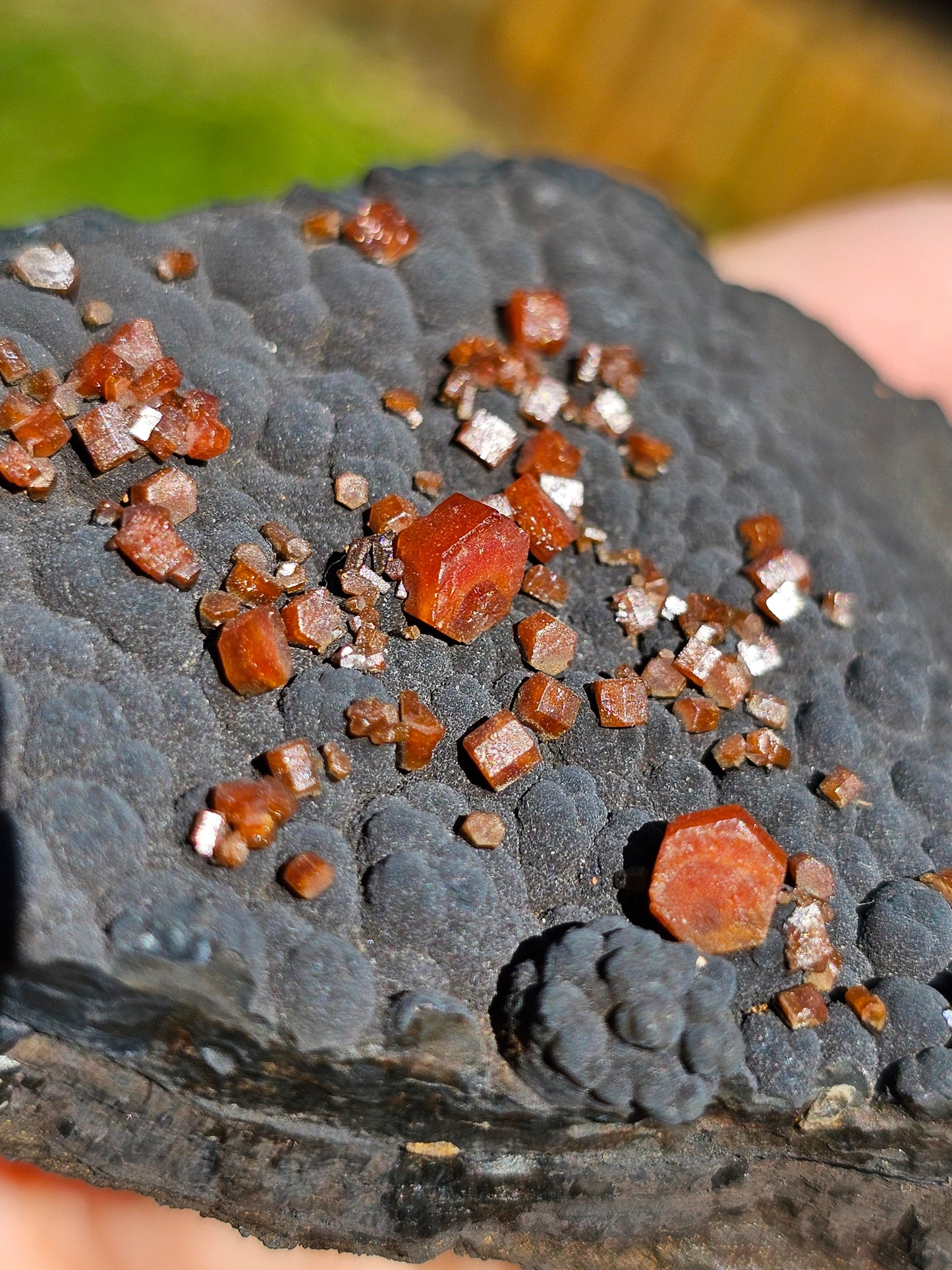 Vanadinite sur Goethite V3