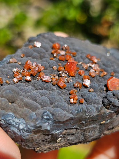 Vanadinite sur Goethite V3