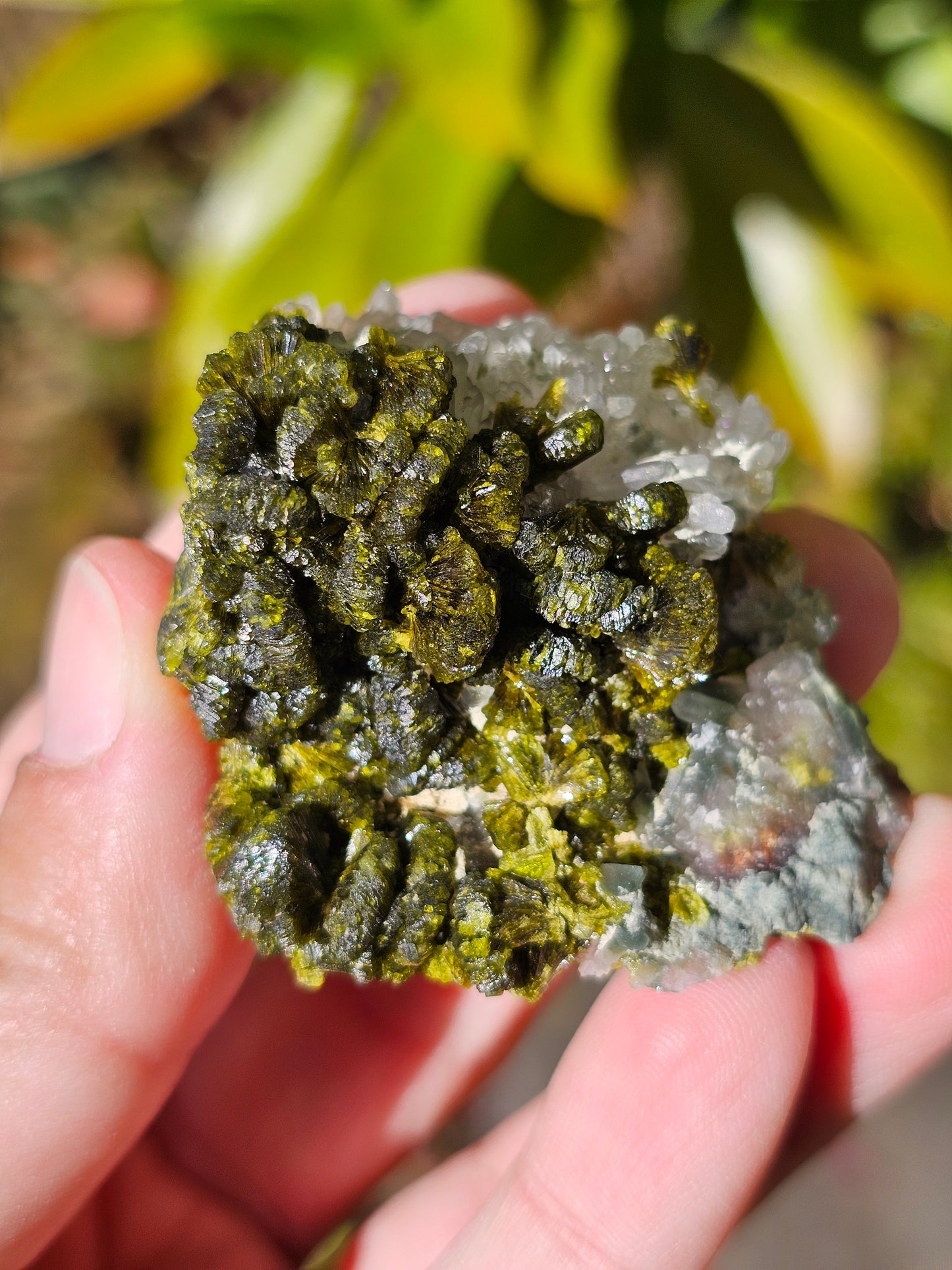 Epidote sur Quartz avec Prehnite E4