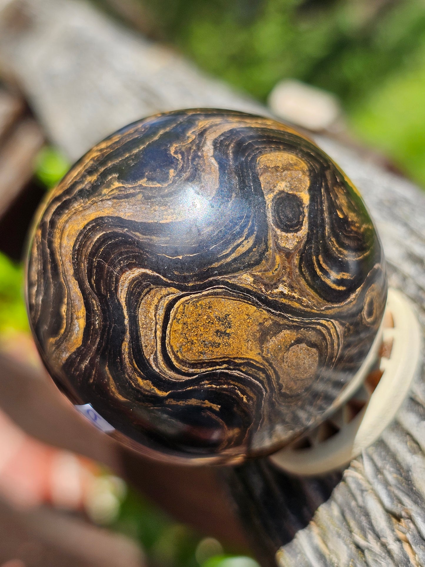 Sphère de Stromatolite du Pérou D