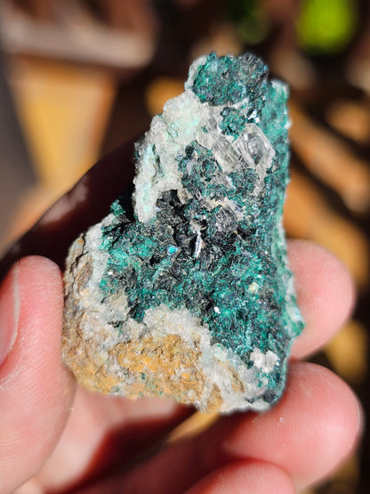 Chrysocolle/ Atacamite/Brochantite/Quartz et Sélénite