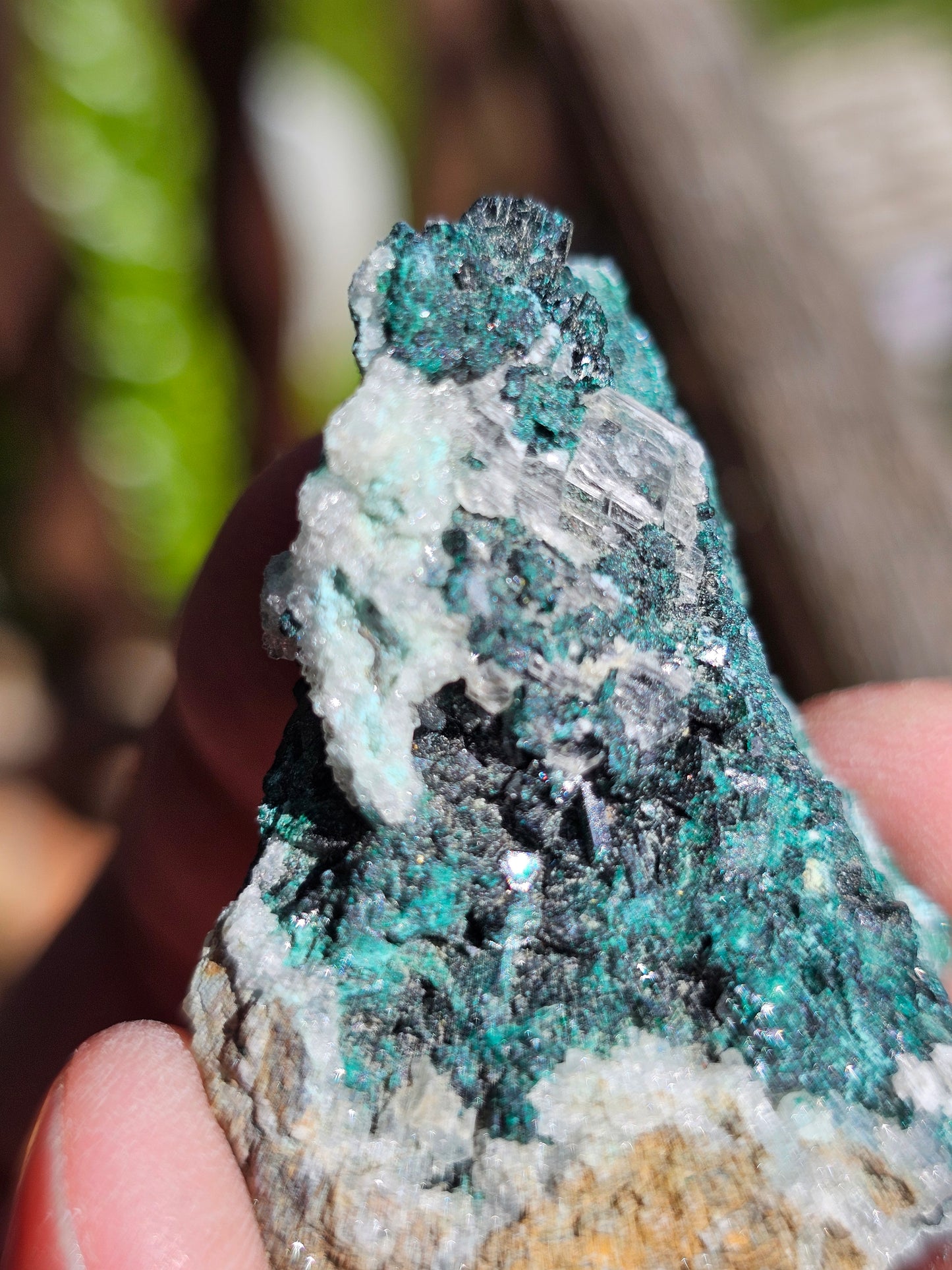 Chrysocolle/ Atacamite/Brochantite/Quartz et Sélénite