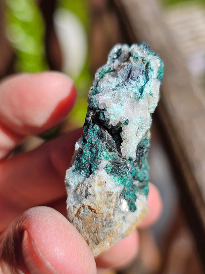 Chrysocolle/ Atacamite/Brochantite/Quartz et Sélénite