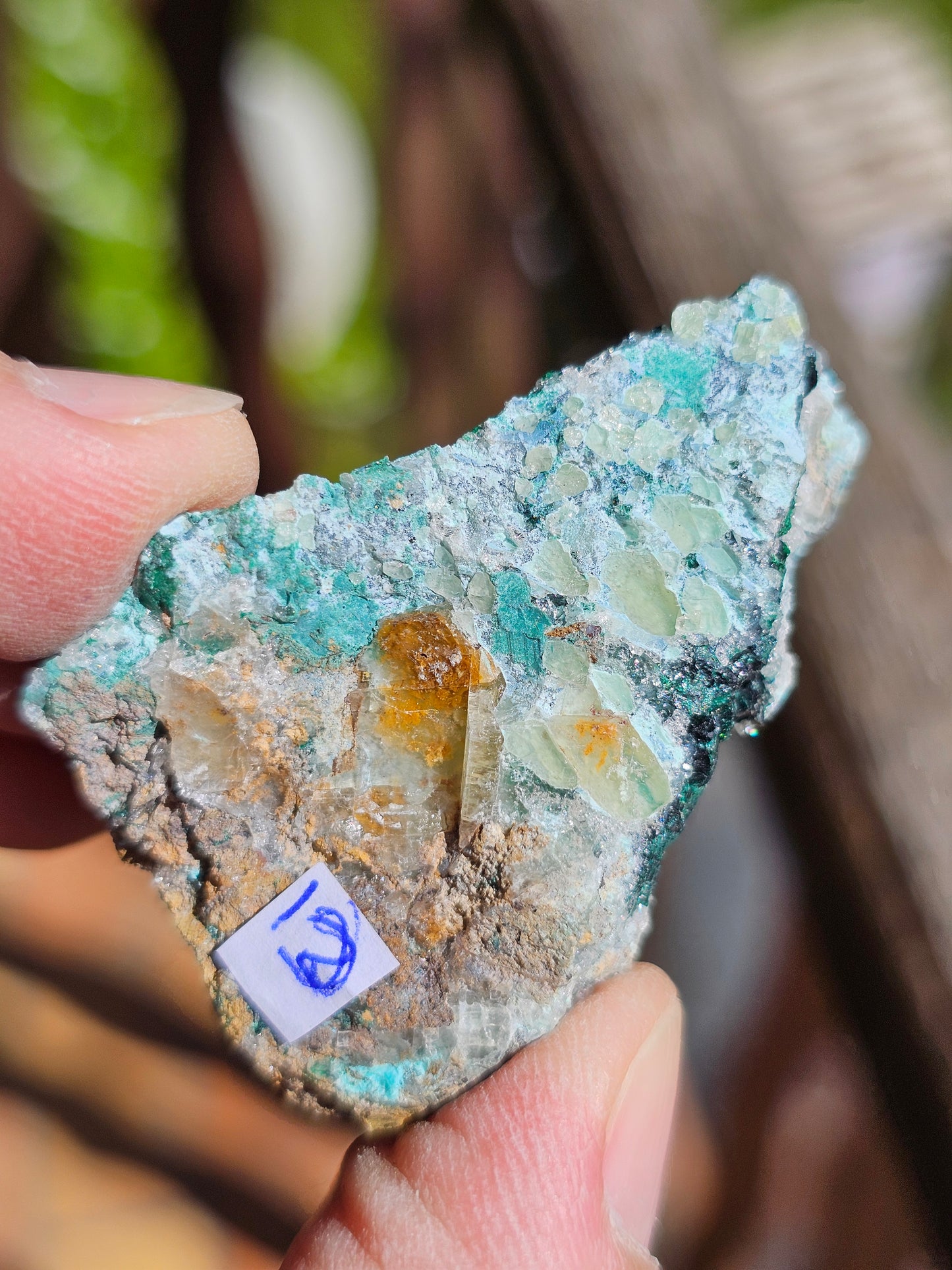 Chrysocolle/ Atacamite/Brochantite/Quartz et Sélénite