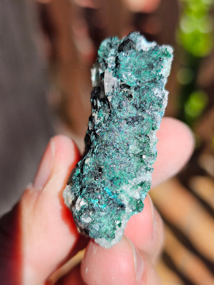 Chrysocolle/ Atacamite/Brochantite/Quartz et Sélénite