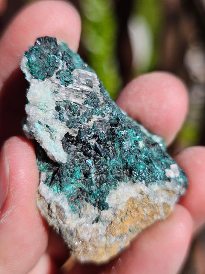 Chrysocolle/ Atacamite/Brochantite/Quartz et Sélénite