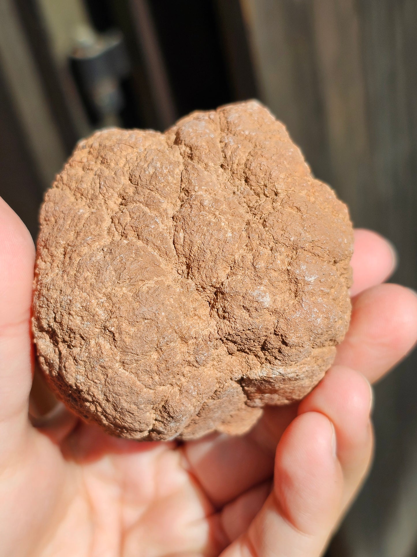 Géode d'Améthyste rose d'Argentine A