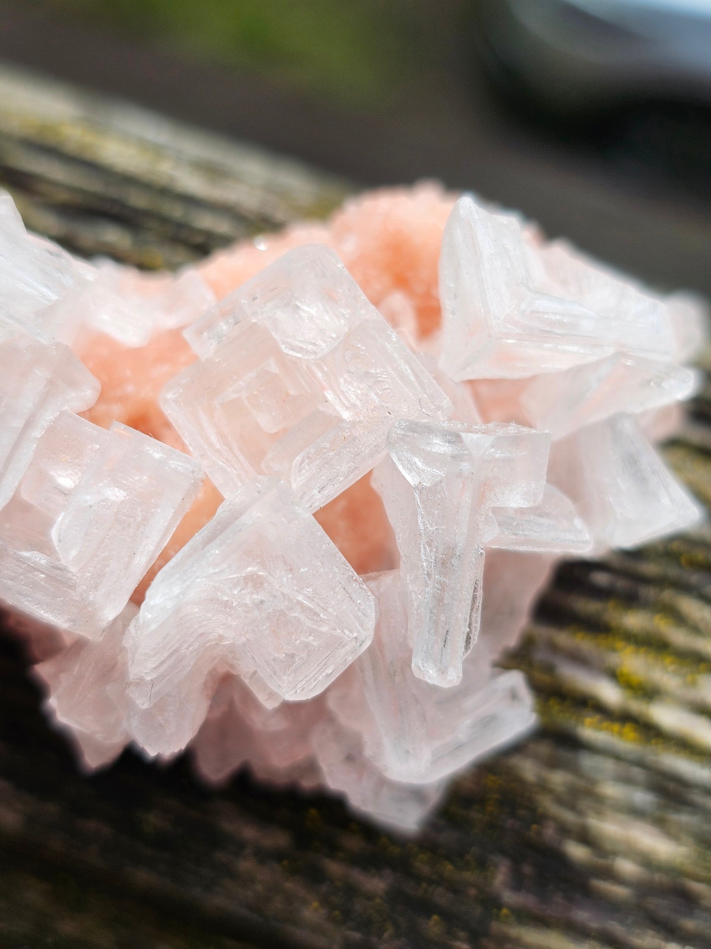 Halite rose H3