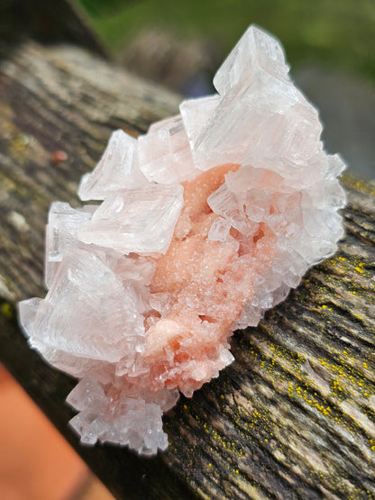 Halite rose H3