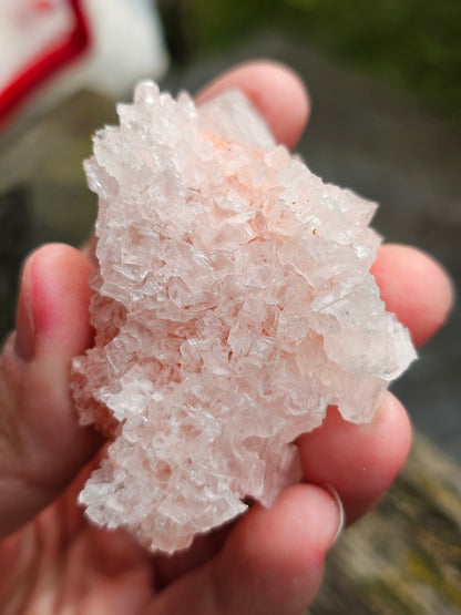 Halite rose H3