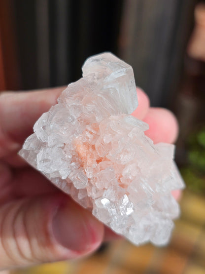 Halite rose H3