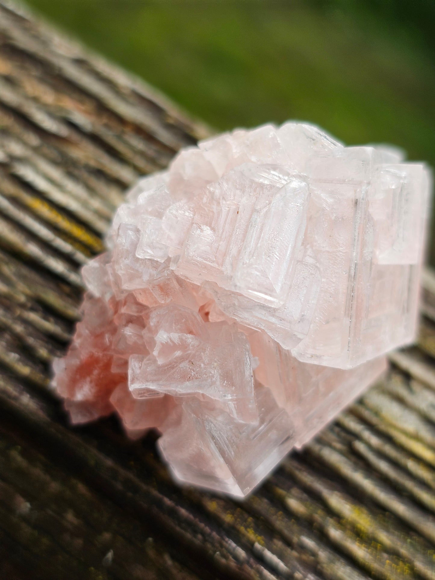 Halite rose H5