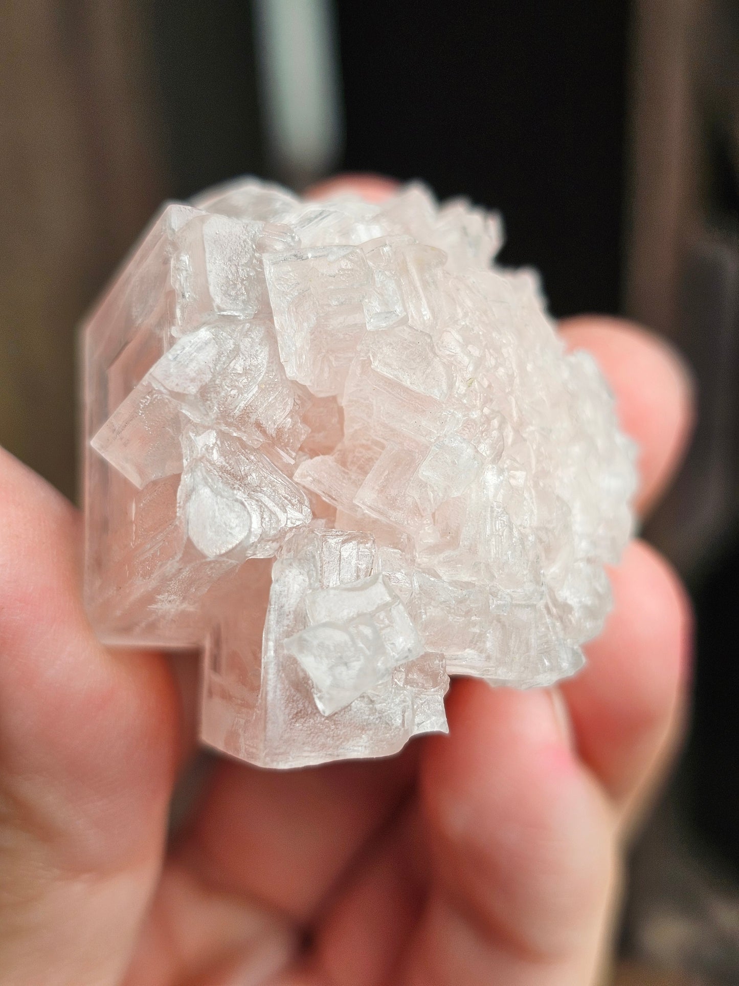 Halite rose H5