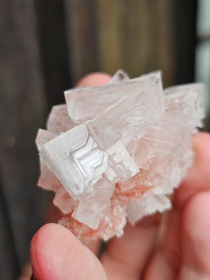 Halite rose H5