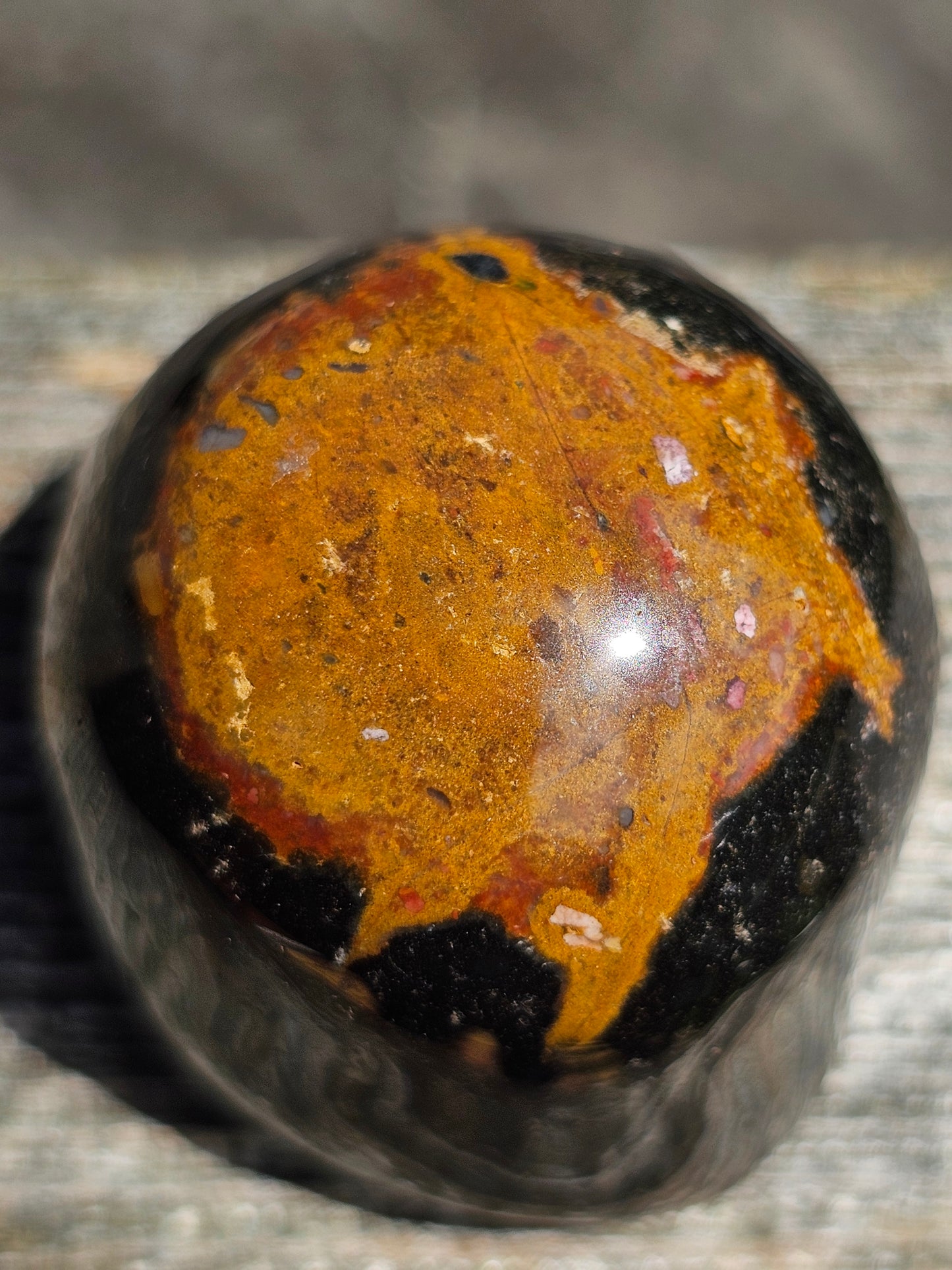 Agate cyclope (Agate oeil) n°7