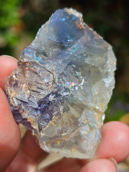 Fluorite bleue du Tarn (France) FL9