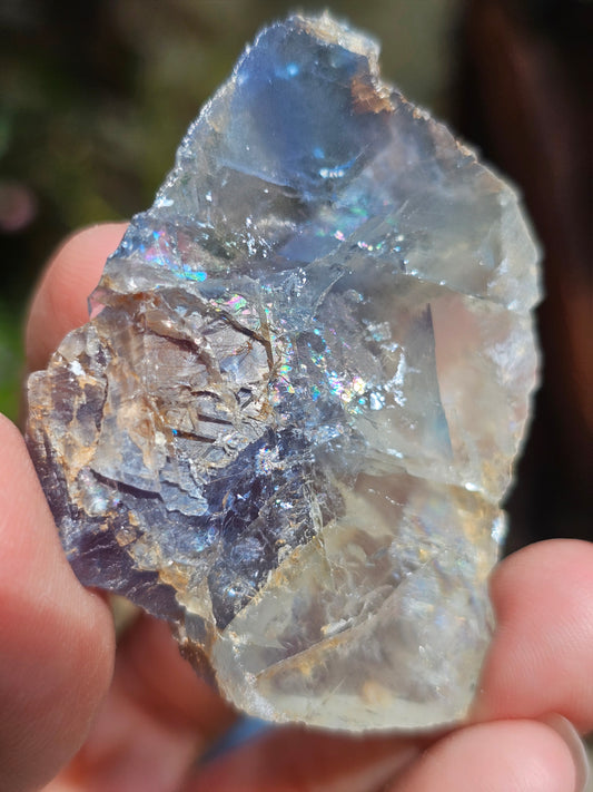 Fluorite bleue du Tarn (France) FL9