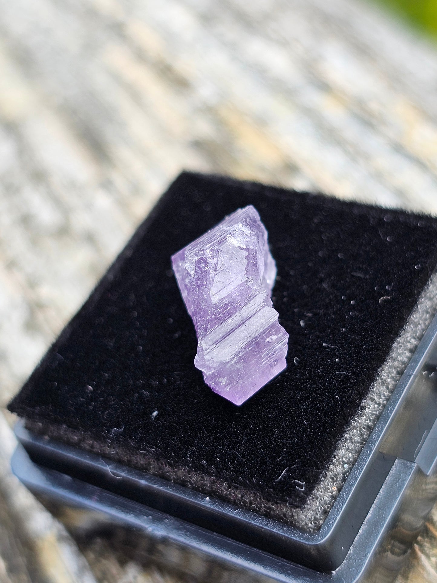 Scapolite violette brute H