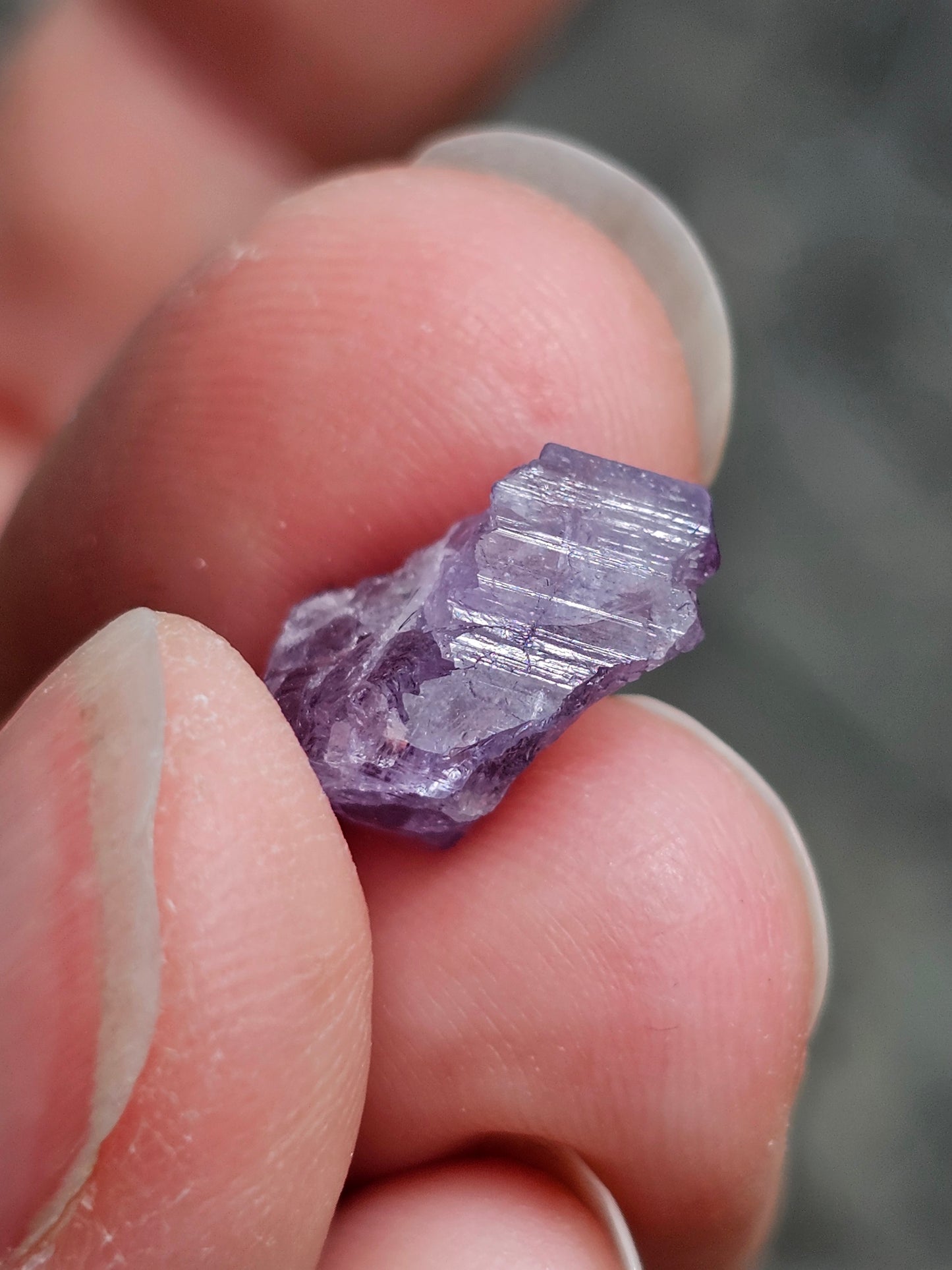 Scapolite violette brute H