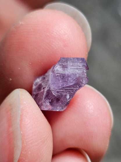 Scapolite violette brute H