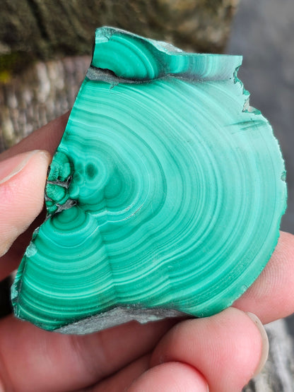 Tranche de Malachite du Congo M3