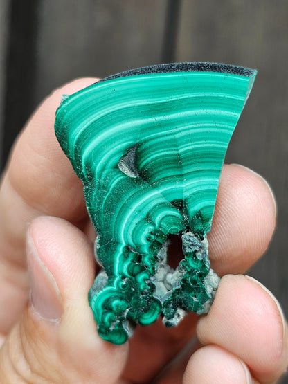 Petite tranche de Malachite du Congo M12