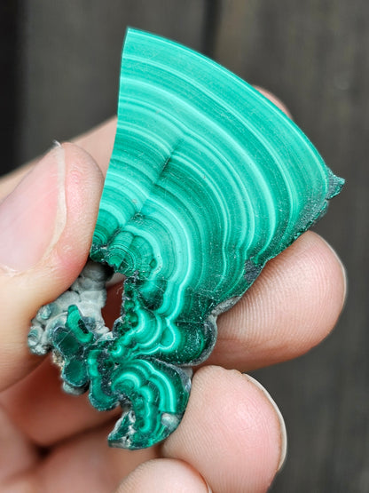 Petite tranche de Malachite du Congo M12