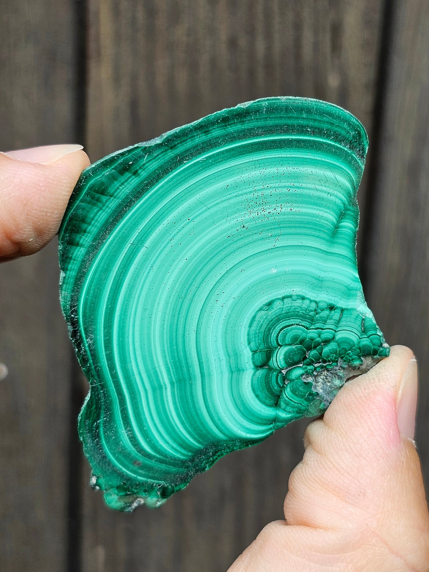 Tranche de Malachite du Congo M13