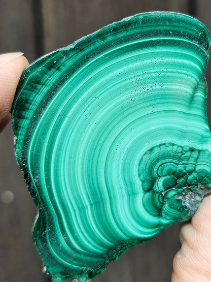 Tranche de Malachite du Congo M13