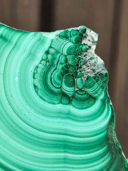 Tranche de Malachite du Congo M13